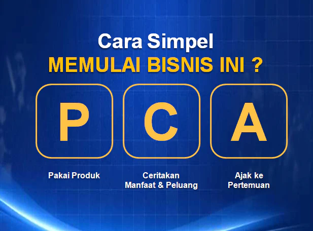brilian biz tebet cara simpel bisnis